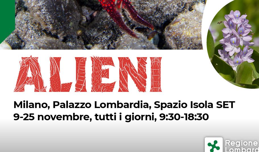 immagine evento