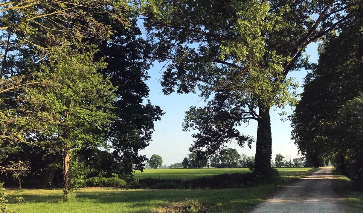 Immagine per l'elemento progettualità