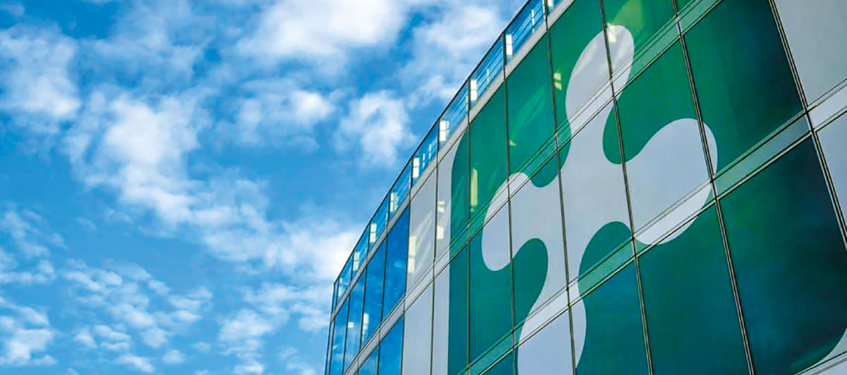 Immagine del carousel